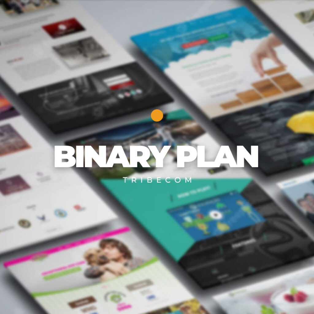 Binary Plan - Tribecom